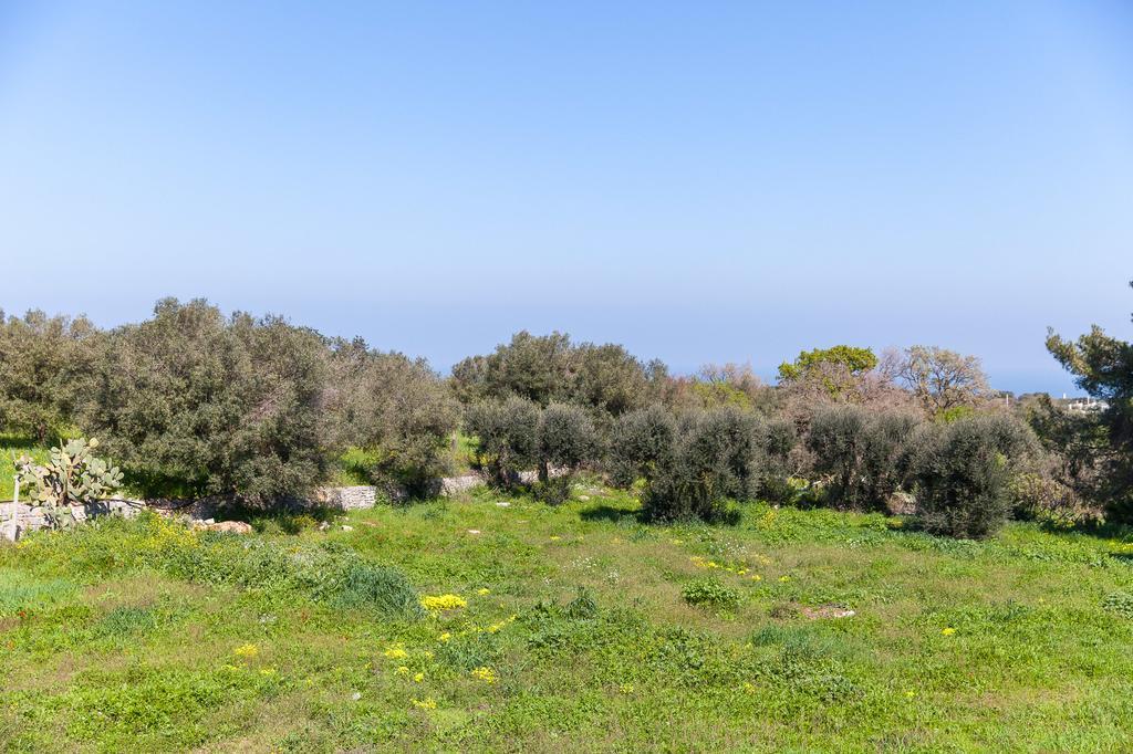 Villa Carenza Monopoli Exteriér fotografie